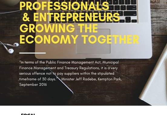 Professionals and Entrepreneurs Growing the Economy Together