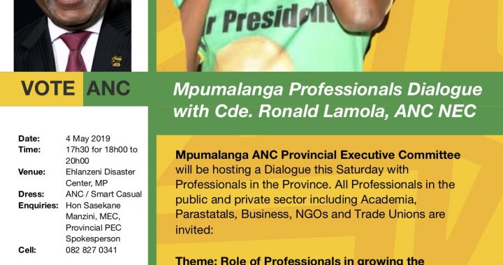 Mpumalanga Dialogue with Professionals